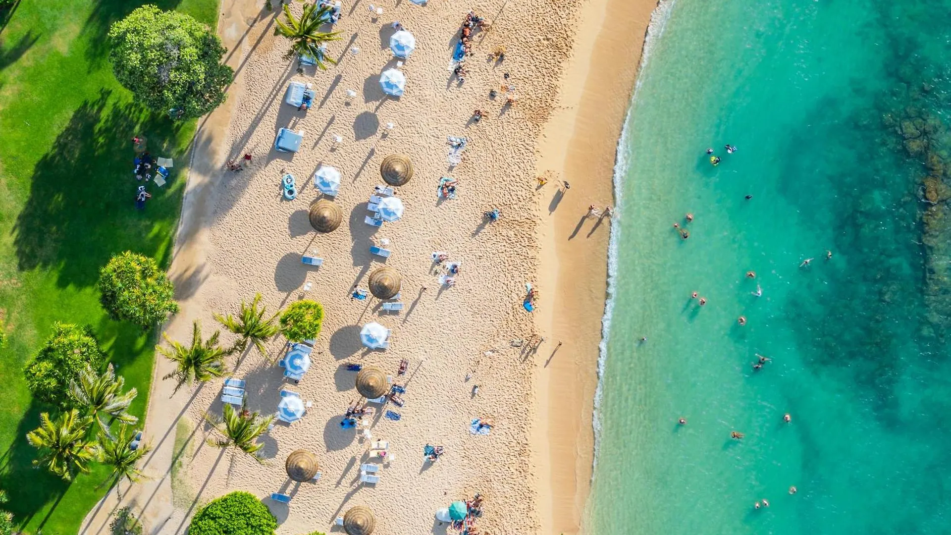 Ocean Villas At Turtle Bay contacts
